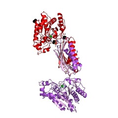 Example Structure of N-carbamoyl-L-amino-acid hydrolase EC#: 3.5.1.87