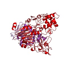 Example Structure of glutaryl-7-aminocephalosporanic-acid acylase EC#: 3.5.1.93