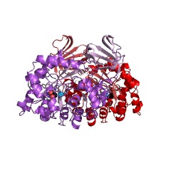 Example Structure of imidazolonepropionase EC#: 3.5.2.7