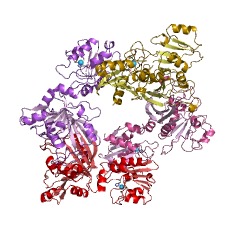 Example Structure of diaminohydroxyphosphoribosylaminopyrimidine deaminase EC#: 3.5.4.26
