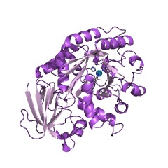 Example Structure of S-methyl-5'-thioadenosine deaminase EC#: 3.5.4.31