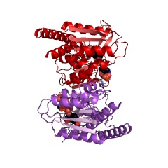 Example Structure of methenyltetrahydrofolate cyclohydrolase EC#: 3.5.4.9