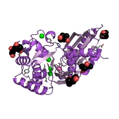 Example Structure of exopolyphosphatase EC#: 3.6.1.11