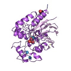 Example Structure of CDP-glycerol diphosphatase EC#: 3.6.1.16