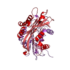 Example Structure of inosine diphosphate phosphatase EC#: 3.6.1.64