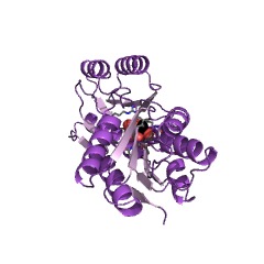 Example Structure of monosaccharide-transporting ATPase EC#: 3.6.3.17