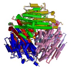 Example Structure of beta-diketone hydrolase EC#: 3.7.1.7