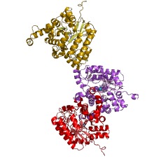 Example Structure of uracil-5-carboxylate decarboxylase EC#: 4.1.1.66