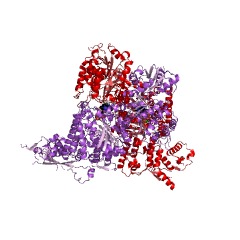 Example Structure of 2-oxoglutarate decarboxylase EC#: 4.1.1.71