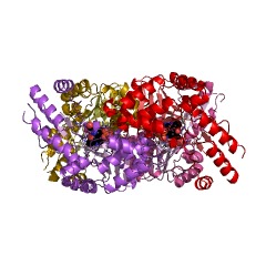 Example Structure of L-allo-threonine aldolase EC#: 4.1.2.49
