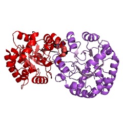 Example Structure of indole-3-glycerol-phosphate lyase EC#: 4.1.2.8