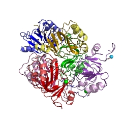 Example Structure of 4-hydroxy-4-methyl-2-oxoglutarate aldolase EC#: 4.1.3.17