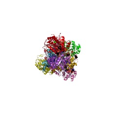 Example Structure of 4-hydroxy-2-oxovalerate aldolase EC#: 4.1.3.39