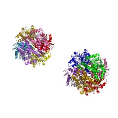 Example Structure of trans-feruloyl-CoA hydratase EC#: 4.2.1.101