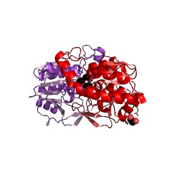 Example Structure of cyclohexyl-isocyanide hydratase EC#: 4.2.1.103