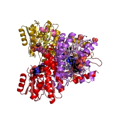 Example Structure of 3alpha,7alpha,12alpha-trihydroxy-5beta-cholest-24-enoyl-CoA hydratase EC#: 4.2.1.107