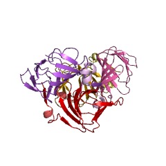 Example Structure of ectoine synthase EC#: 4.2.1.108