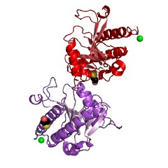 Example Structure of methylthioribulose 1-phosphate dehydratase EC#: 4.2.1.109