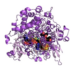 Example Structure of acetylene hydratase EC#: 4.2.1.112