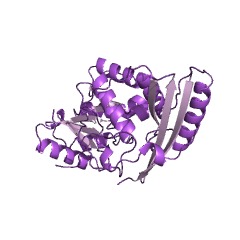 Example Structure of o-succinylbenzoate synthase EC#: 4.2.1.113