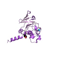 Example Structure of methanogen homoaconitase EC#: 4.2.1.114
