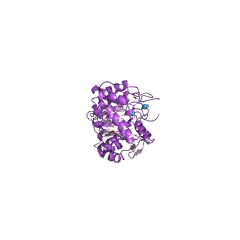 Example Structure of porphobilinogen synthase EC#: 4.2.1.24