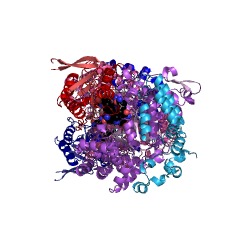 Example Structure of glycerol dehydratase EC#: 4.2.1.30