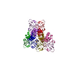 Example Structure of maleate hydratase EC#: 4.2.1.31