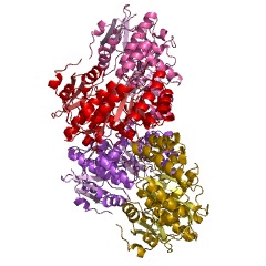 Example Structure of gluconate dehydratase EC#: 4.2.1.39