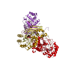 Example Structure of galactarate dehydratase EC#: 4.2.1.42