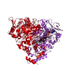 Example Structure of oleate hydratase EC#: 4.2.1.53