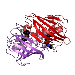 Example Structure of 3-hydroxyacyl-[acyl-carrier-protein] dehydratase EC#: 4.2.1.59