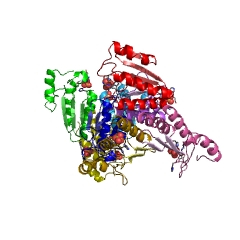 Example Structure of 4a-hydroxytetrahydrobiopterin dehydratase EC#: 4.2.1.96