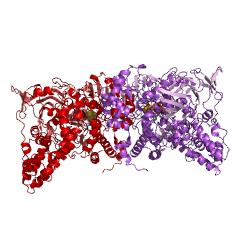 Example Structure of 2-methylisocitrate dehydratase EC#: 4.2.1.99