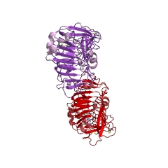 Example Structure of pectin lyase EC#: 4.2.2.10