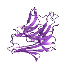 Example Structure of guluronate-specific alginate lyase EC#: 4.2.2.11