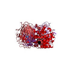 Example Structure of heparin-sulfate lyase EC#: 4.2.2.8