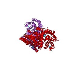Example Structure of (+)-camphene synthase EC#: 4.2.3.116