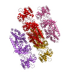 Example Structure of neoabietadiene synthase EC#: 4.2.3.132