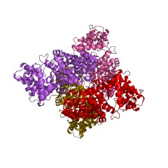 Example Structure of vetispiradiene synthase EC#: 4.2.3.21