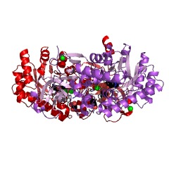 Example Structure of threo-3-hydroxy-D-aspartate ammonia-lyase EC#: 4.3.1.27