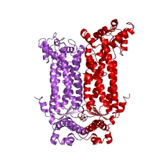 Example Structure of adenylosuccinate lyase EC#: 4.3.2.2