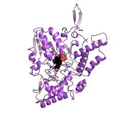 Example Structure of selenocysteine lyase EC#: 4.4.1.16