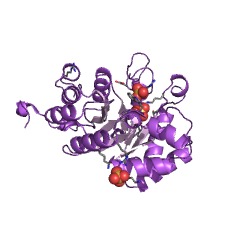 Example Structure of phosphosulfolactate synthase EC#: 4.4.1.19