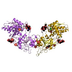 Example Structure of guanylate cyclase EC#: 4.6.1.2