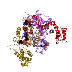 Example Structure of sirohydrochlorin ferrochelatase EC#: 4.99.1.4