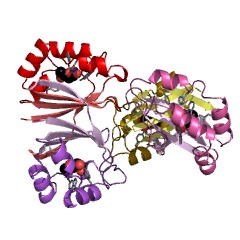 Example Structure of L-rhamnose mutarotase EC#: 5.1.3.32