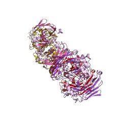 Example Structure of 5-carboxymethyl-2-hydroxymuconate DELTA-isomerase EC#: 5.3.3.10