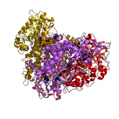Example Structure of vinylacetyl-CoA DELTA-isomerase EC#: 5.3.3.3