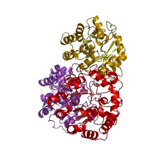 Example Structure of D-galactarolactone isomerase EC#: 5.4.1.4
